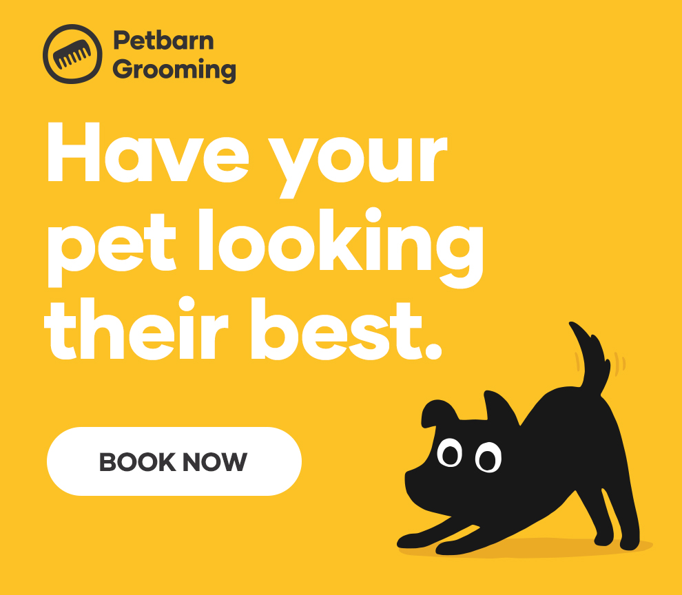 Petbarn toilettage pour chiens