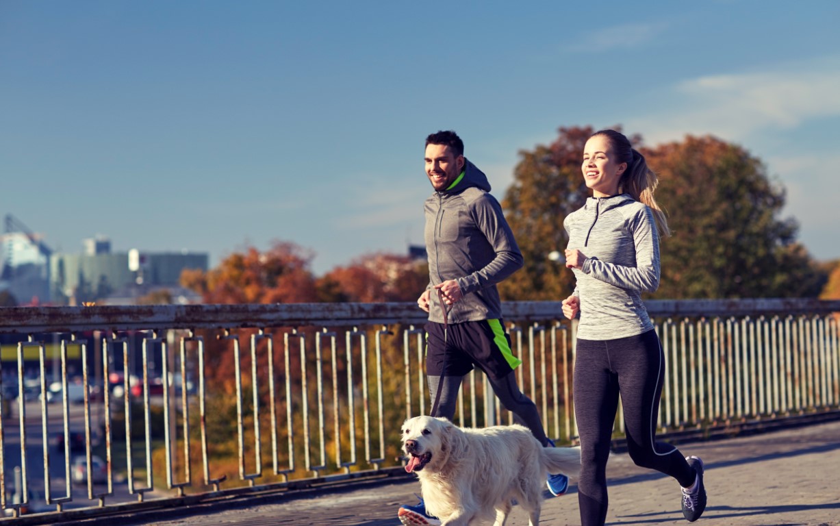 Pourquoi faire appel à un éducateur canin ?