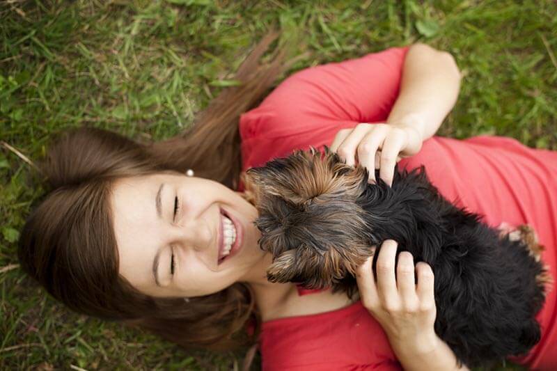 Les vers du chien : savoir s’en protéger