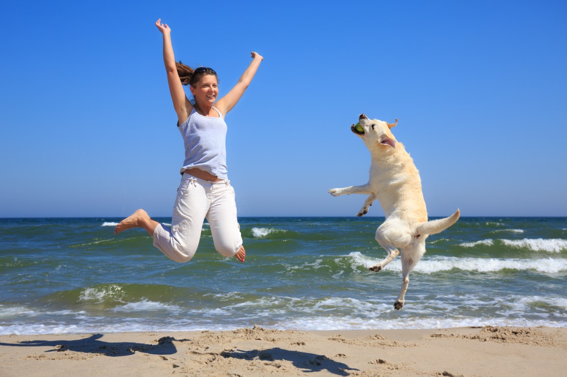 Jouer avec son chien : bon pour lui… et pour vous !