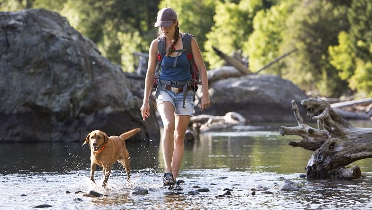 sortir avec son chien