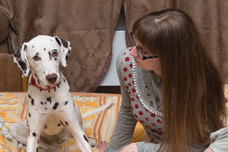 Comment repérer les symptômes d’anxiété chez le chien