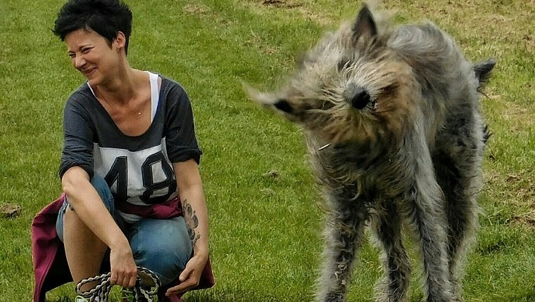 Chien qui secoue la tête : signes, causes, traitement - PagesJaunes