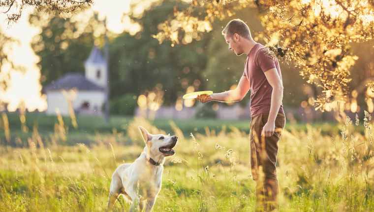 5 raisons de jouer souvent avec votre chien