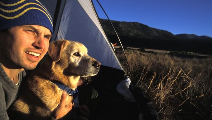 Comment faire le meilleur voyage de camping avec votre chien