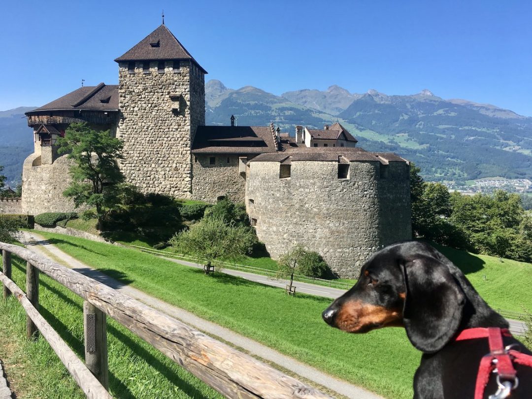 5 lieux à visiter en Europe avec votre chien