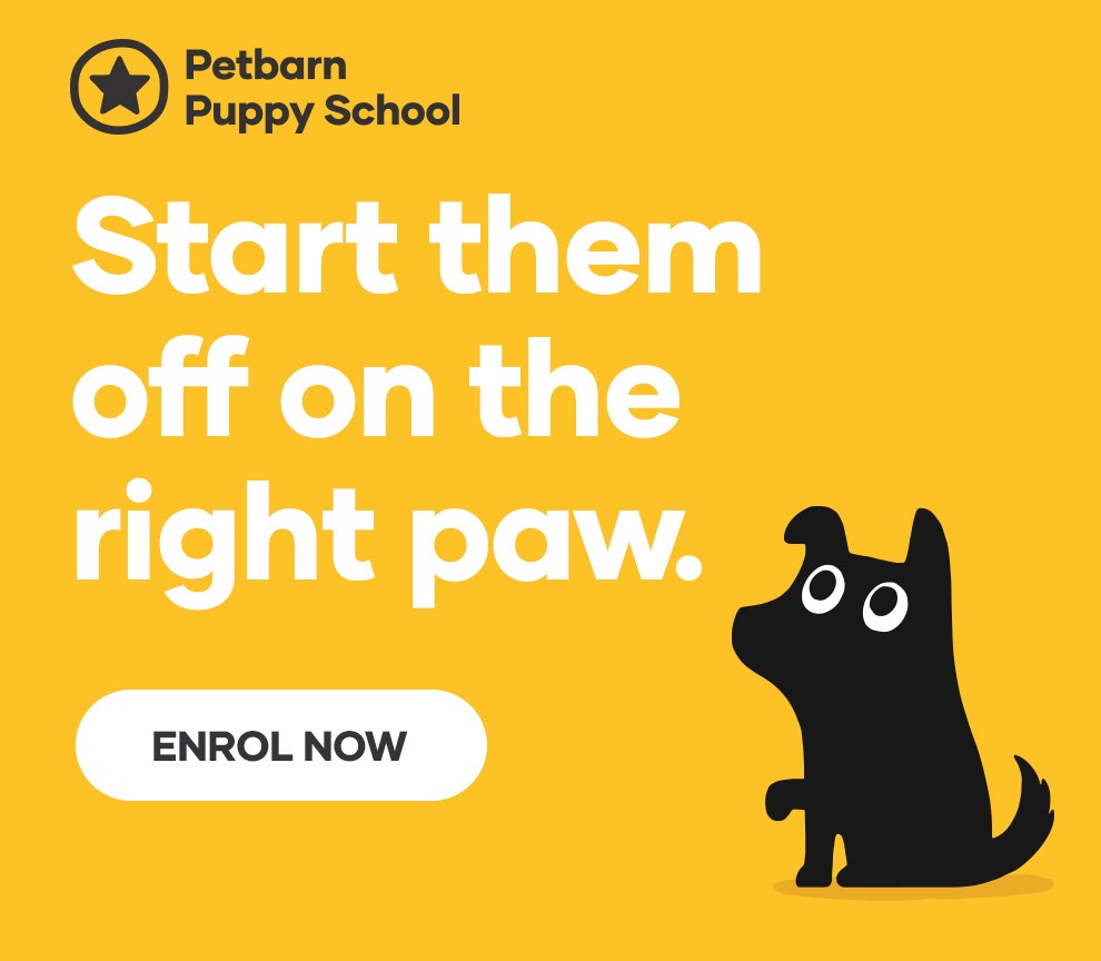 Inscrivez votre chiot à l'école pour chiots de Petbarn