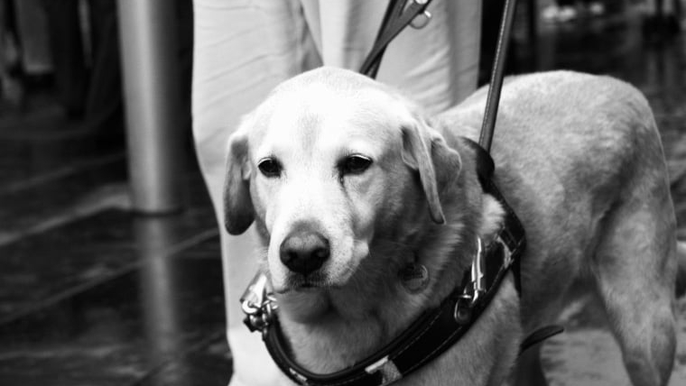 L’assistant et le chien d’aveugle du Sénat qui ont changé l’histoire des États-Unis