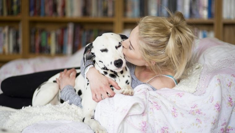 Les meilleures races de chiens pour les Béliers