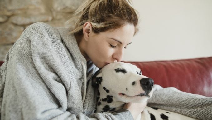 les meilleures races de chiens pour le bélier