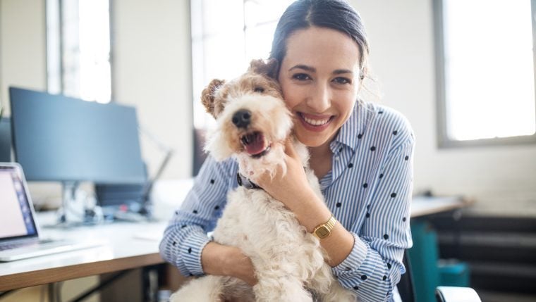 Les avantages et les inconvénients d’emmener son chien au travail