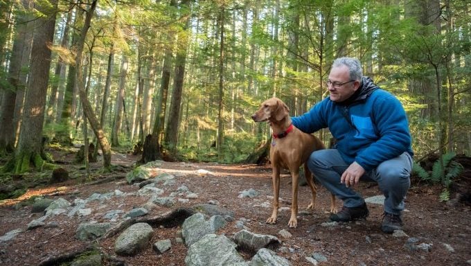 homme promenant son chien dans les bois promenades en nature pour les chiens