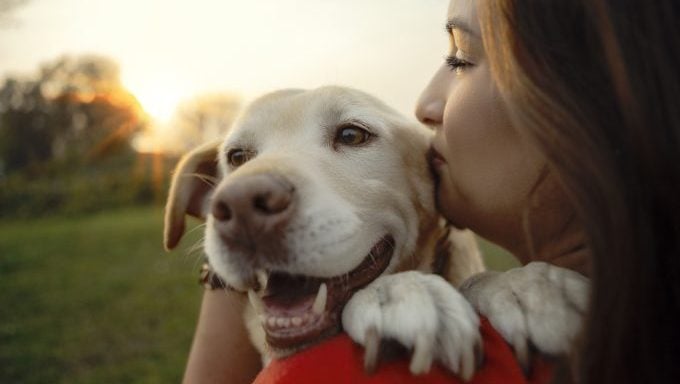 femme tenant un chien souriant citations drôles de chien