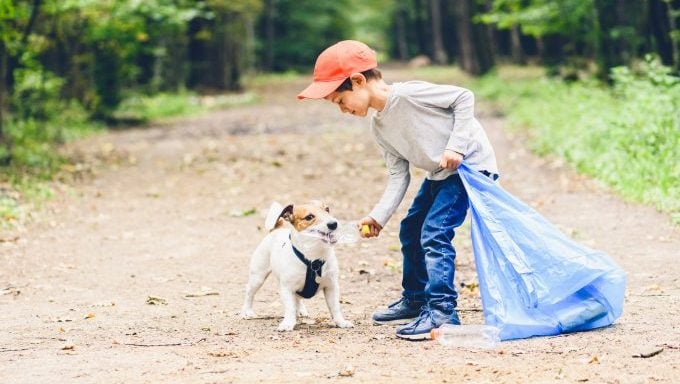 chien ramassant des déchets comment réduire l'empreinte carbone de votre chien