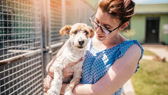 un défenseur des animaux tenant un chien sauvé