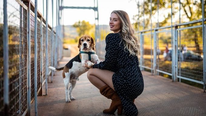 les meilleures races de chiens pour les gémeaux