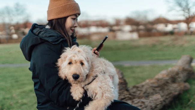 Une femme navigue sur son smartphone tout en berçant son chien.