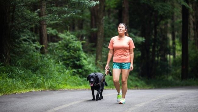 Une femme marche à côté d'un labrador fatigué.