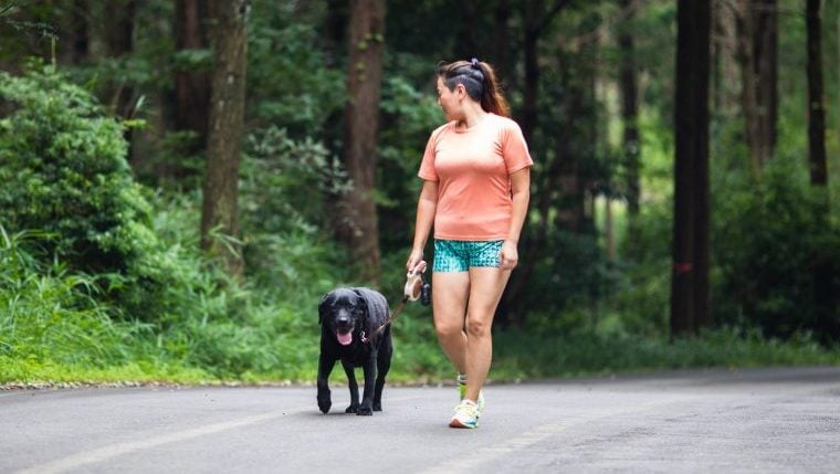 Un promeneur de chien attaqué par un ours