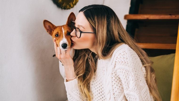 Les meilleures races de chiens pour les amoureux du Sagittaire