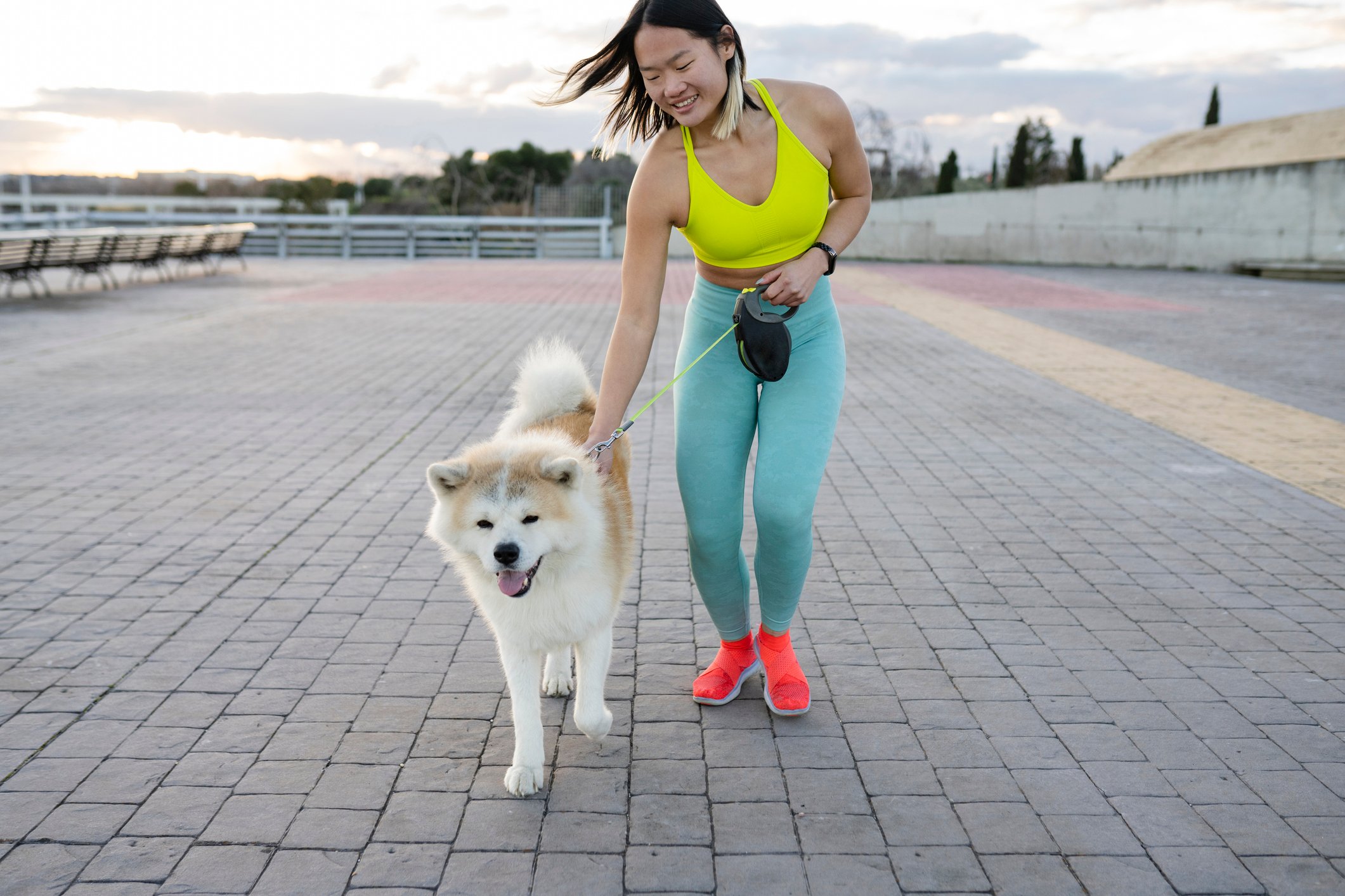 femme se promenant avec son chien conseils de sécurité pour la promenade des chiens