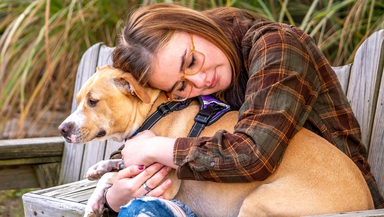 Un chien qui a survécu à un passage à tabac devient un animal de thérapie