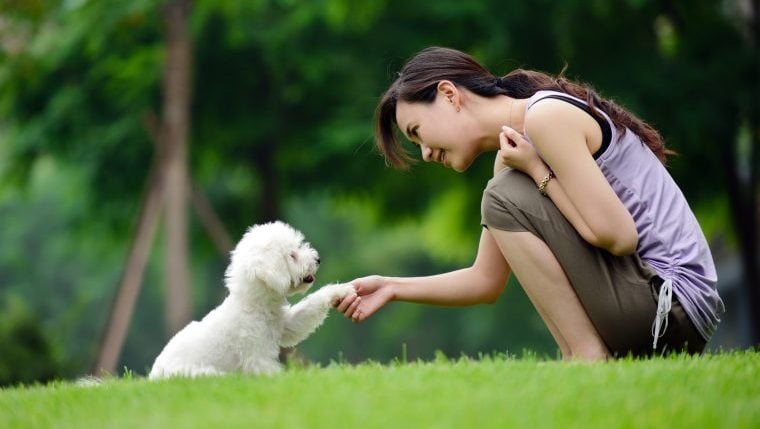 Une étude sur les chiens révèle que les rôles culturels prédisent la façon dont les petits sont traités