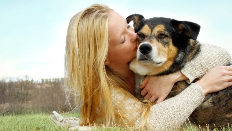 Les meilleures prières chrétiennes pour les chiens malades