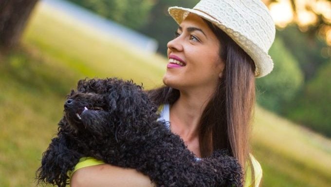 femme en train de faire un câlin à un caniche les meilleures races de chiens pour un Poisson