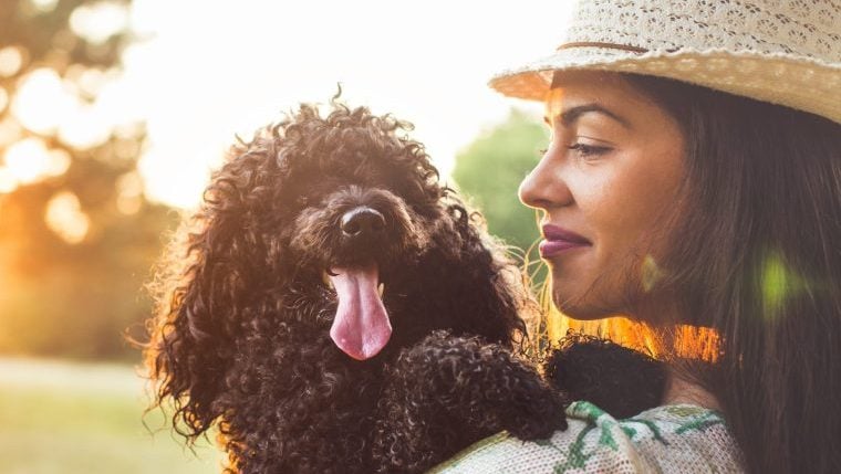 Les meilleures races de chiens pour un amoureux des Poissons