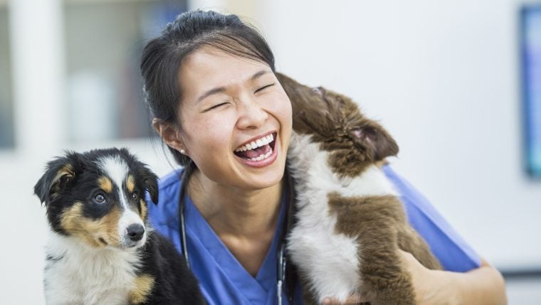 Une clinique canine mobile gratuite aide les animaux de compagnie et les propriétaires de chiens à faibles revenus