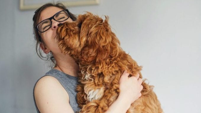 femme serrant un chien dans ses bras pourquoi le WSJ se trompe sur les chiens