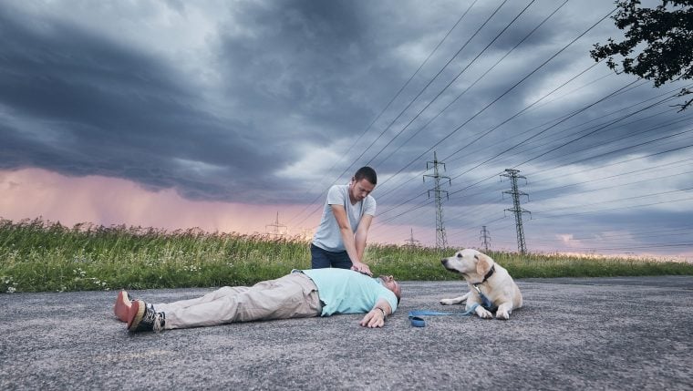 Un chien sauve la vie d’un homme victime d’une crise cardiaque