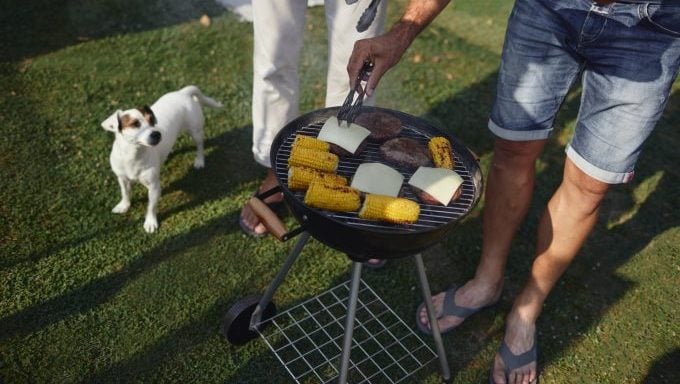 chien regardant le grill comment garder votre chien en sécurité lors des barbecues