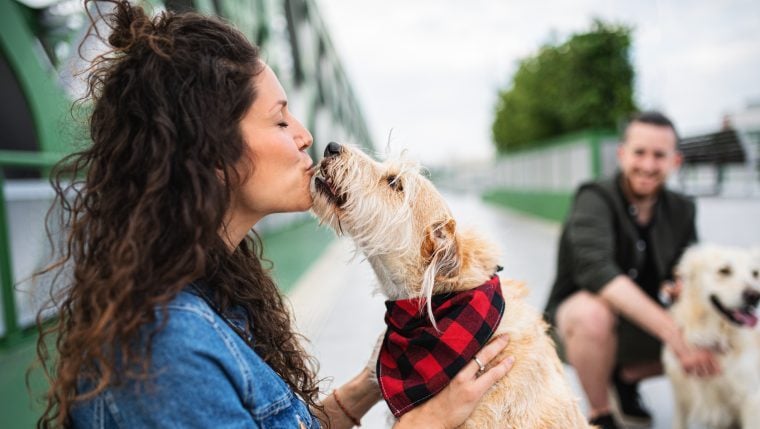 Une étude révèle où vivent les meilleurs (et les pires) propriétaires de chiens