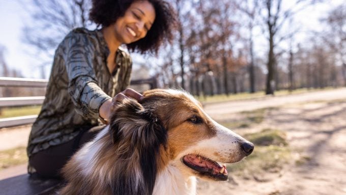 femme caressant le chien pour le protéger des voleurs d'animaux