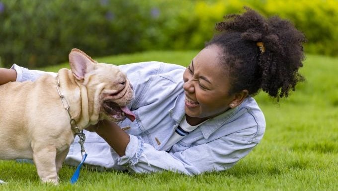 femme souriant avec un bouledogue français meilleur moment pour devenir propriétaire d'un chien