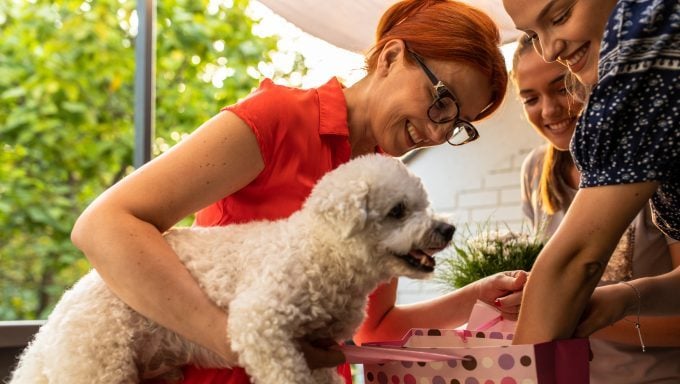 la maman chien reçoit des cadeaux pour la fête des mères