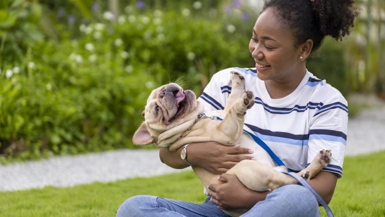 Quel est le meilleur moment pour devenir propriétaire d’un chien ?