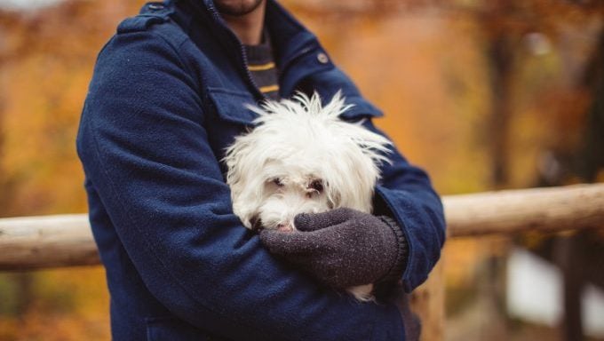 homme suspect tenant un chien comment repérer une arnaque au chien