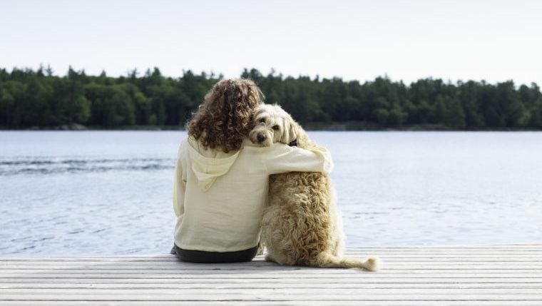 Comment inclure votre chien dans votre testament ?