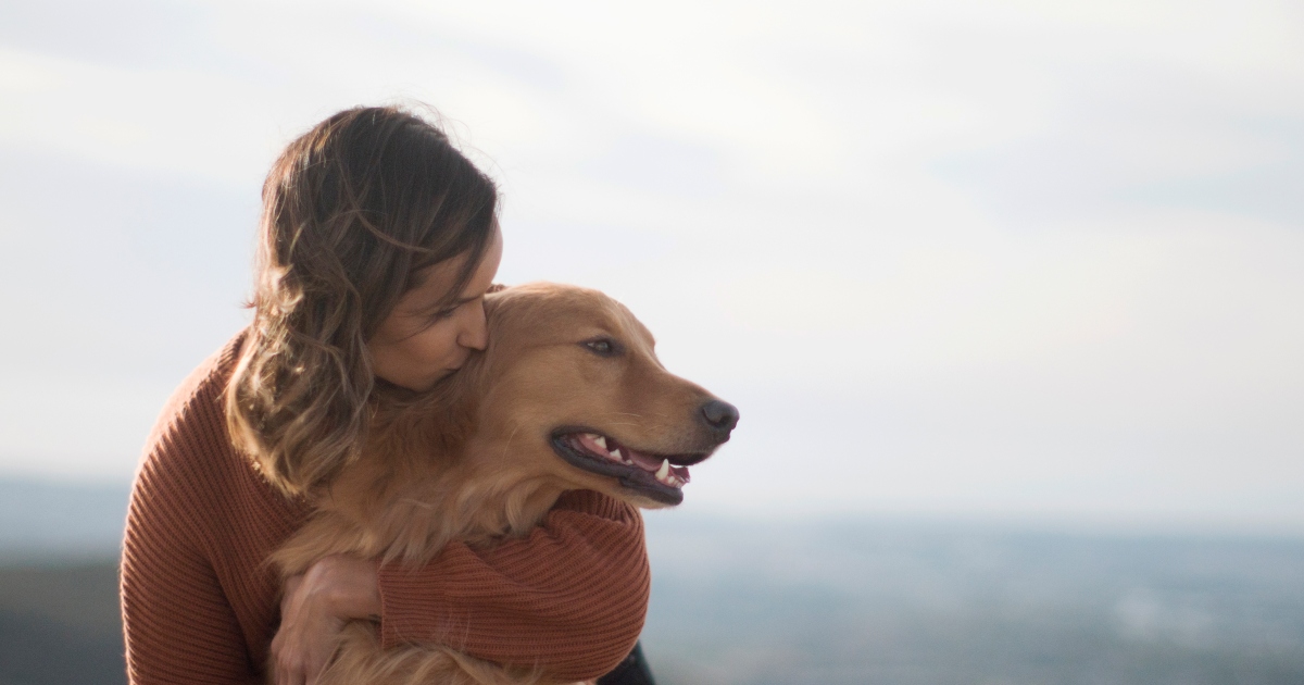 Les grandes races de chiens les plus populaires