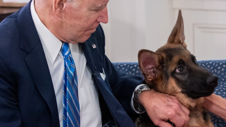 Le chien du président Biden mord un agent des services secrets