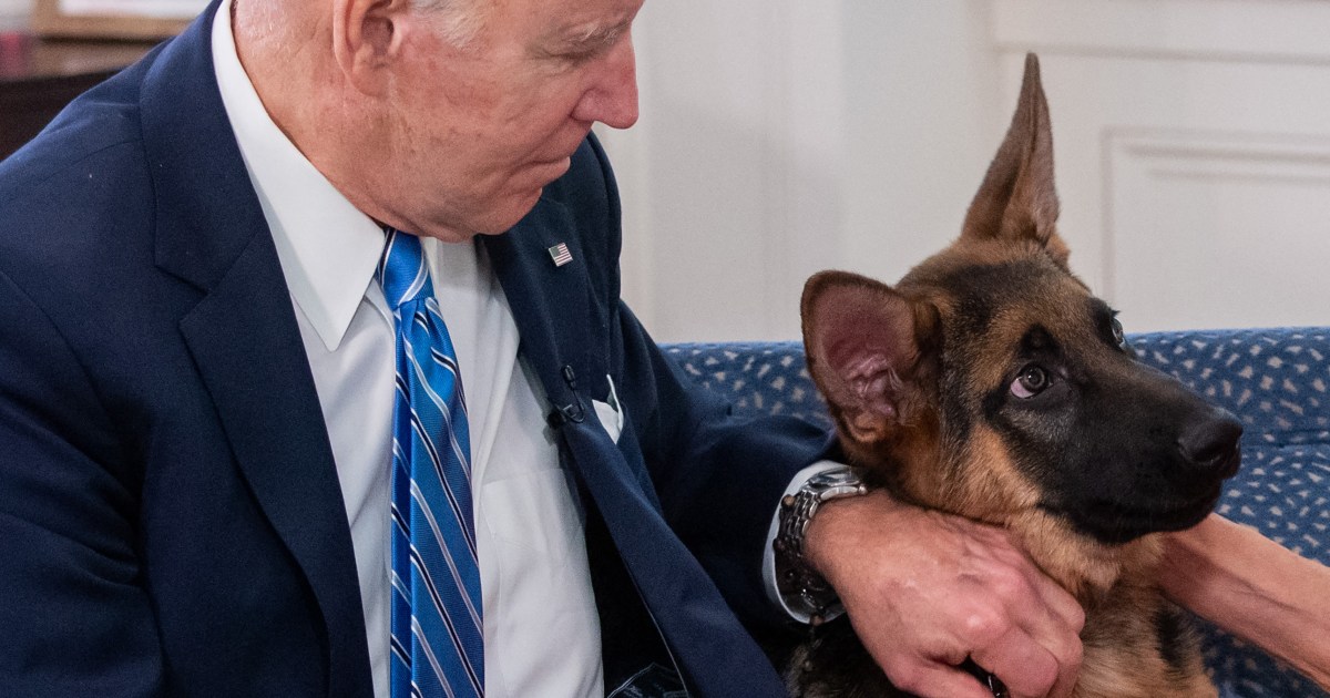 Le chien du président Biden mord un agent des services secrets