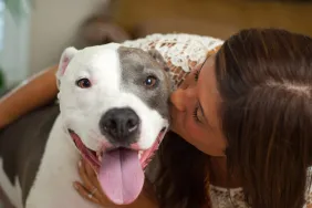 Une femme embrasse un chien de thérapie Pit Bull