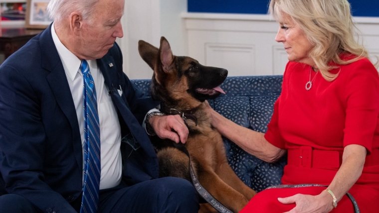 Tout ce que nous savons sur les chiens de Joe Biden