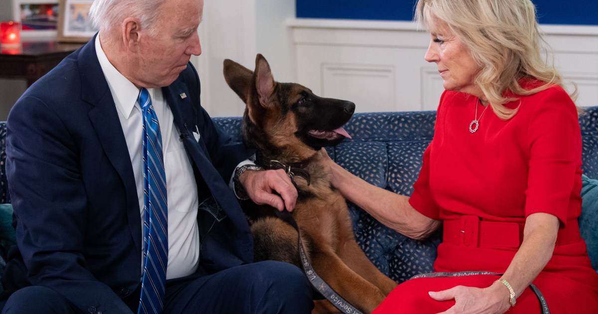 Tout ce que nous savons sur les chiens de Joe Biden