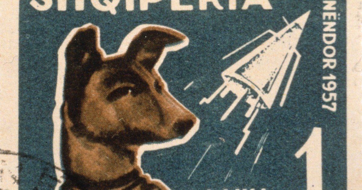 Le premier chien dans l’espace