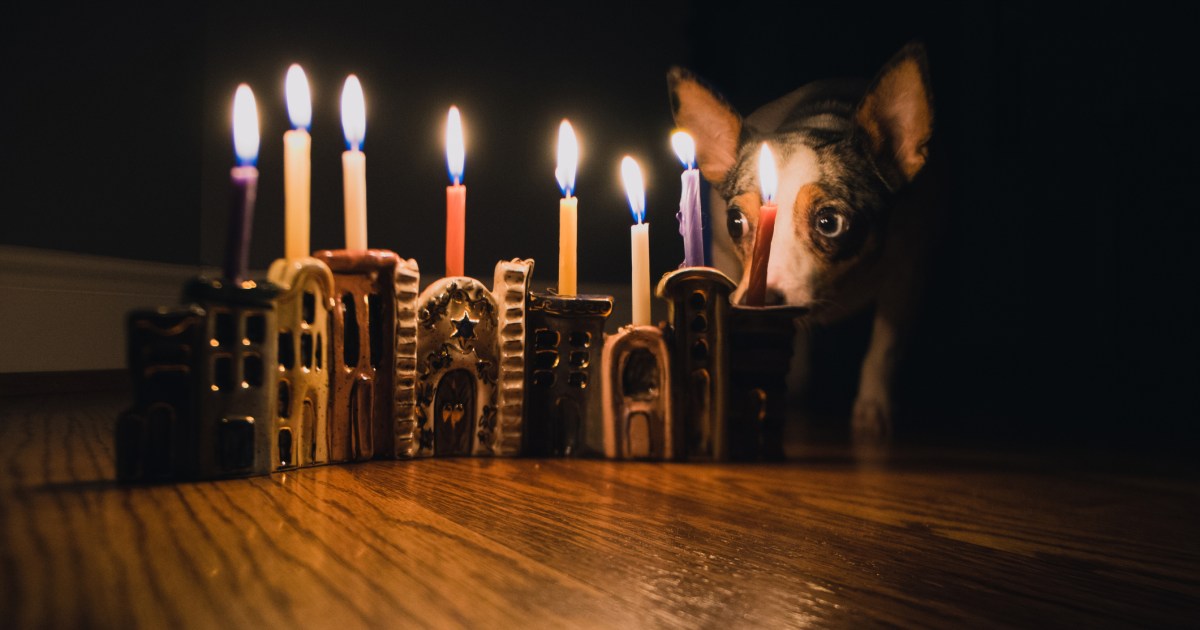 Comment célébrer Hanoukka avec votre chien ?