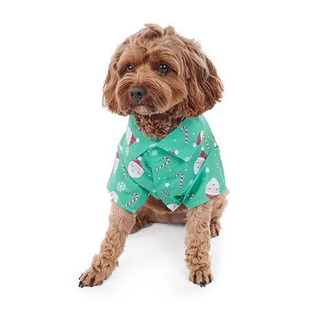 Chemise de Noël pour chien (verte)